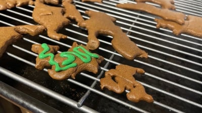 scrap cookie with a squiggle of icing